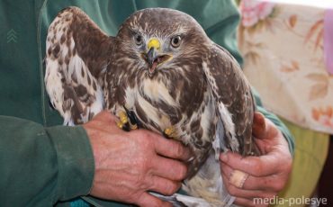 Фото предосталено читательницей