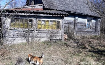 Фото использовано в качестве иллюстрации, из архива МП