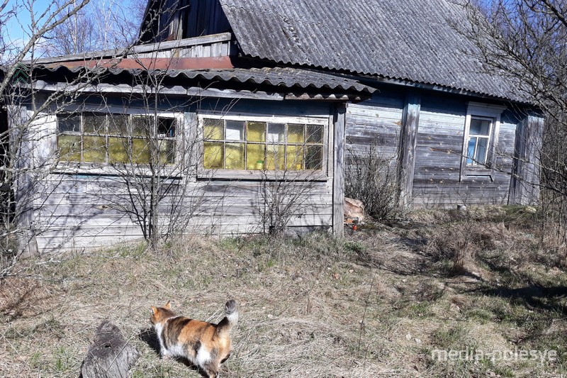 Фото использовано в качестве иллюстрации, из архива МП