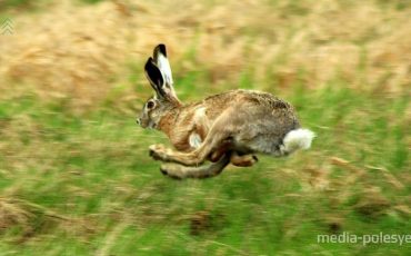 Фото используется в качестве иллюстрации