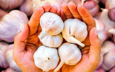 ©с использованием Shutterstock / Fotodom