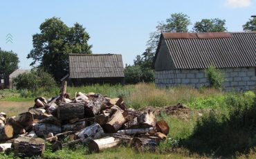 Фото из архива МП