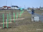 Фото использовано в качестве иллюстрации, из архива МП