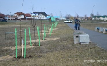 Фото использовано в качестве иллюстрации, из архива МП