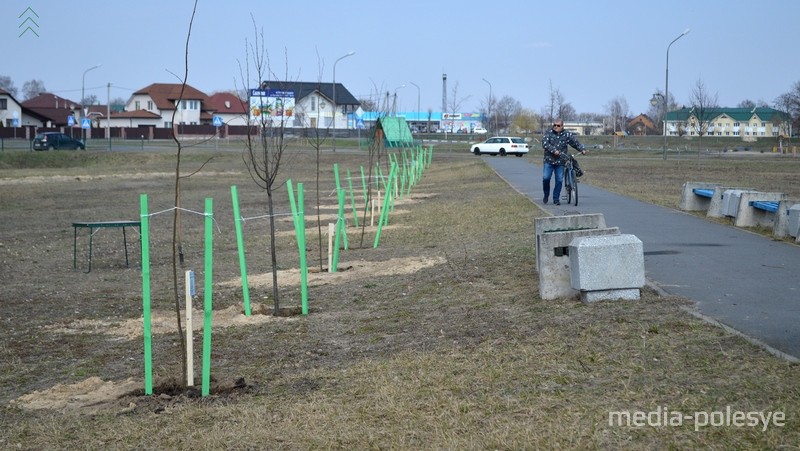 Фото использовано в качестве иллюстрации, из архива МП