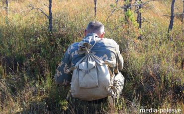 Фото использовано в качестве иллюстрации