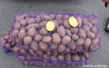 Фото использовано в качестве иллюстрации, из архива МП