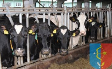 Фото: Пинский райисполком