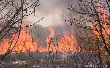 Фото использовано в качестве иллюстрации, из архива МП