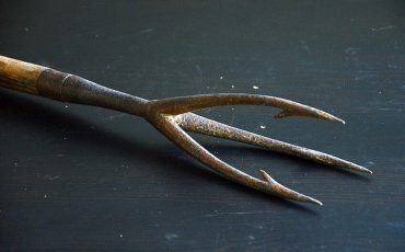 Фото из открытых источников