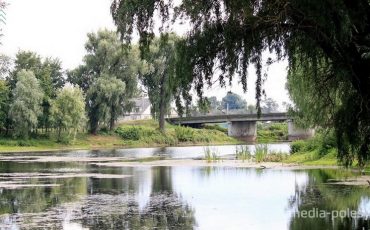 из архива МП