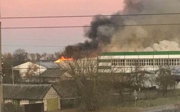 Фото читателя