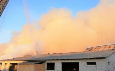 Фото используется в качестве иллюстрации