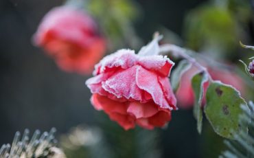 Фото: Legion Media