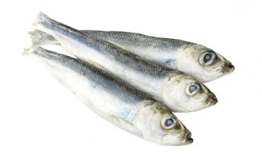 Салака. Иллюстративное фото: positive-market.ru