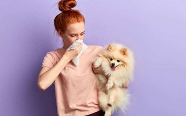 Фото: ©Shutterstock / Fotodom