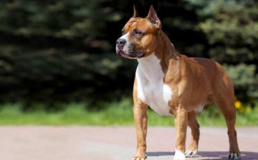 Фото: ©Shutterstock / Fotodom