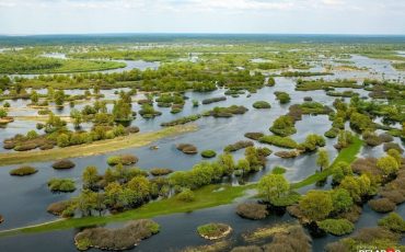 Фото использовано в качестве иллюстрации