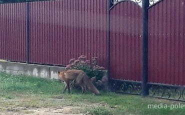 Фото используется в качестве иллюстрации/ из архива МП