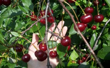 Фото использовано в качестве иллюстрации, samosoverhenstvovanie.ru