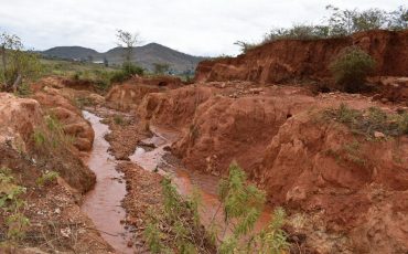 Фото: cnrgzim.org