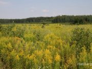 Фото из архива МП