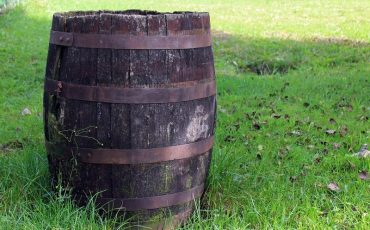 Снимок носит иллюстративный характер / Фото: pixabay