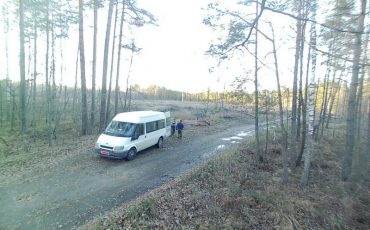 Фото Лунинецкого лесхоза