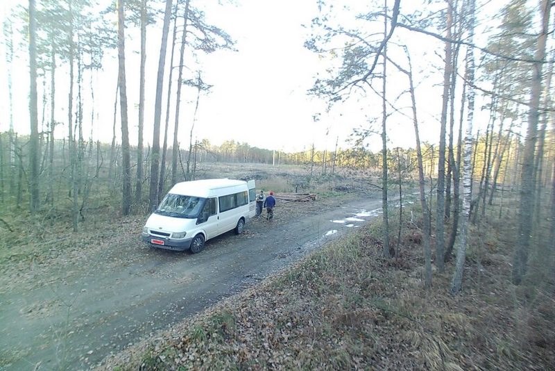 Фото Лунинецкого лесхоза