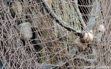 Фото использовано в качестве иллюстрации