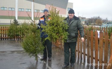 Фото из архива МП