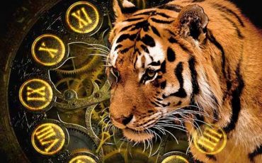 Фото использовано в качестве иллюстрации, okulys.ru