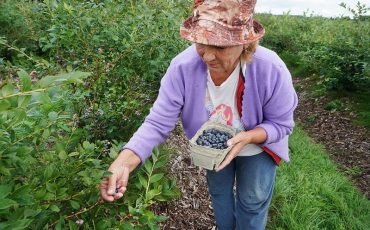 Фото использовано в качестве иллюстрации, gov39.ru