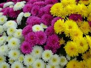 Фото использовано в качестве иллюстрации, с сайта 2sotki.ru