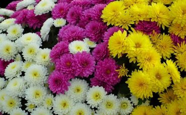 Фото использовано в качестве иллюстрации, с сайта 2sotki.ru