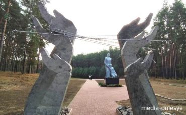 Фото читателя