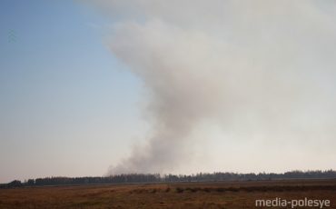Фото использовано в качестве иллюстрации, из архива ПМ