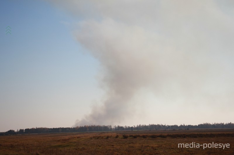 Фото использовано в качестве иллюстрации, из архива ПМ