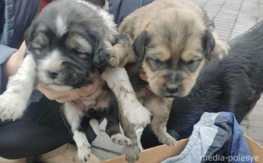 Фото предоставлено читательницей