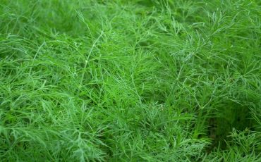 Снимок носит иллюстративный характер / Фото: pixabay