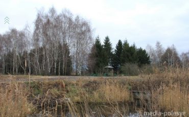 Фото использовано в качестве иллюстрации, из архива МП