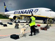 Принудительная посадка рейса Ryanair в Минске, 23.05.2021. Фото: AFP 2021 / ONLINER.BY