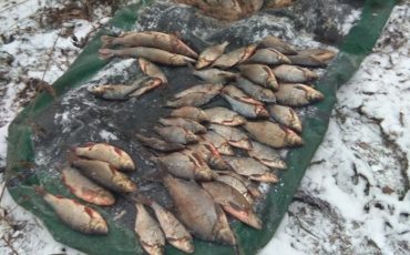 Фото Столинской МРИ