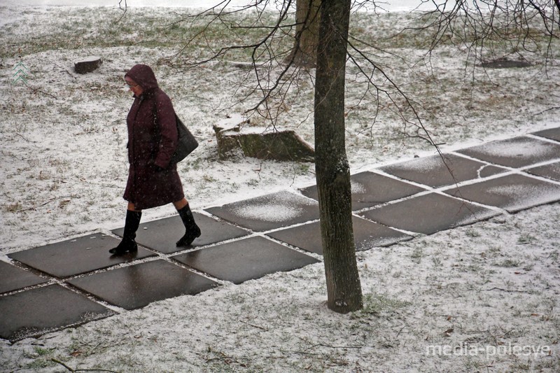 Фото используется в качестве иллюстрации