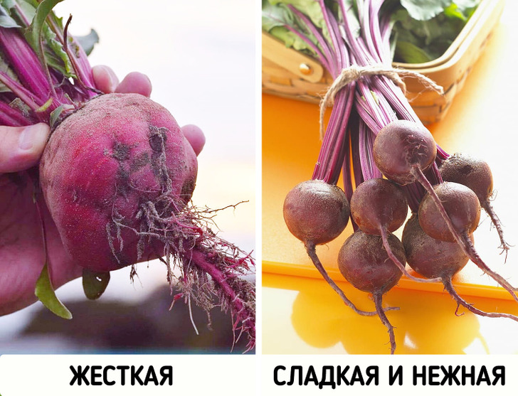 10 способов выбрать в магазине свежие и полезные продукты, а не ерунду