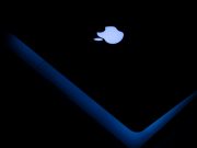 Фото использовано в качестве иллюстрации, из открытых источников