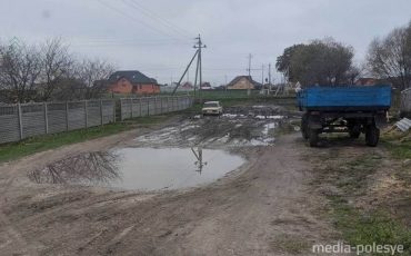 Дорога в Ольшанах