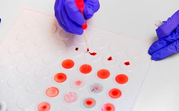 Фото: Александр Авилов / АГН «Москва»