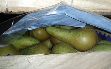 Фото: ctu.customs.gov.ru