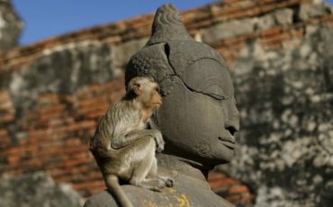 Фото использовано в качестве иллюстрации, из открытых источников